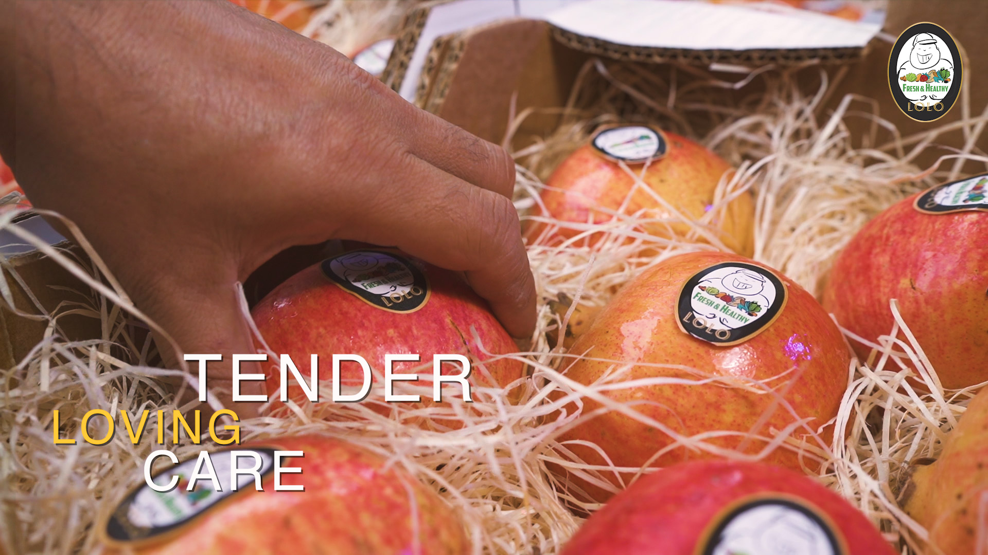 tender, Loving, Care